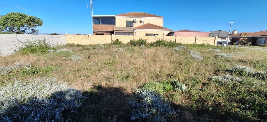 0 Bedroom Property for Sale in Reebok Western Cape
